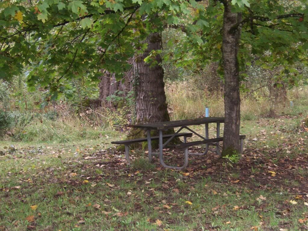 Picnic Tables to have an afternoon lunch
