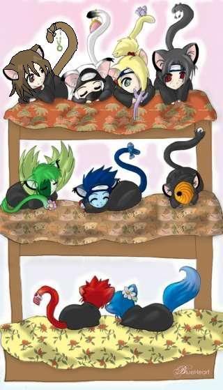 Naruto Naruto