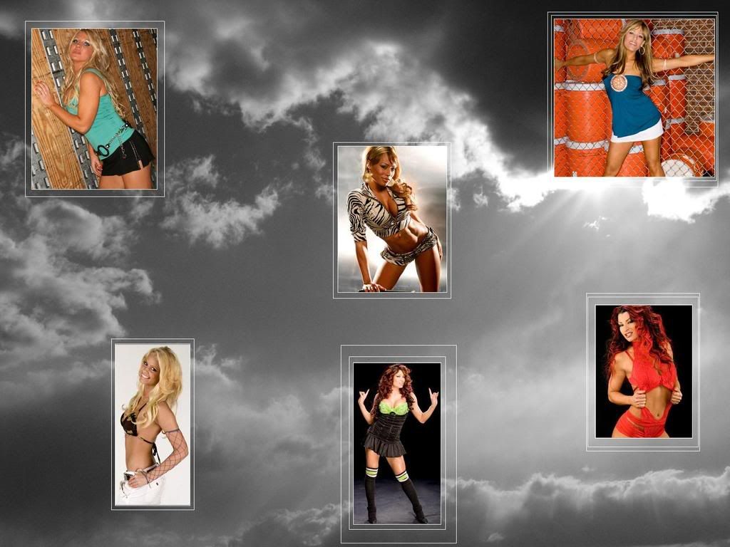 WWE Divas - Picture
