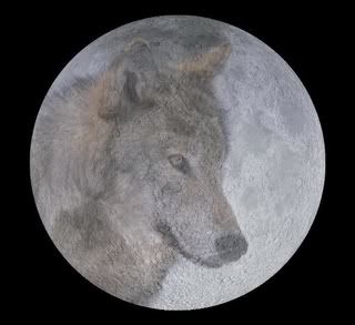 wolfmoon.jpg Wolf moon image by fantasyleigh