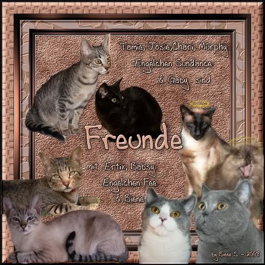 Ertixfreunde