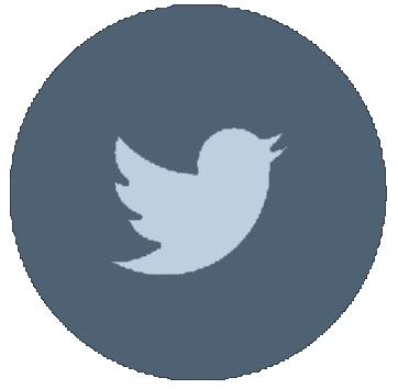 Web-Twitter-alt-2-Metro-icon