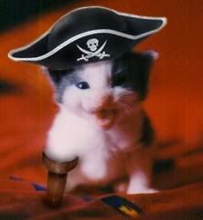 pirate kitteh