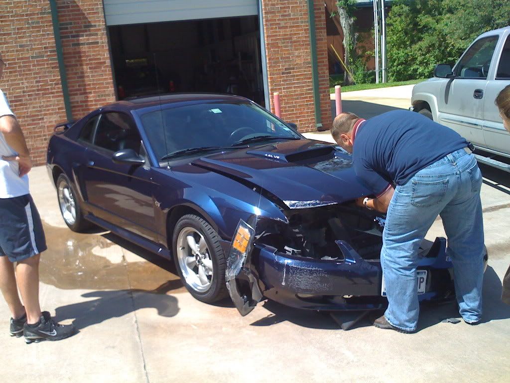 modded mustangs