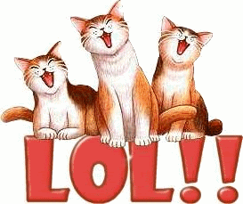 cats.gif cats image by fncy713