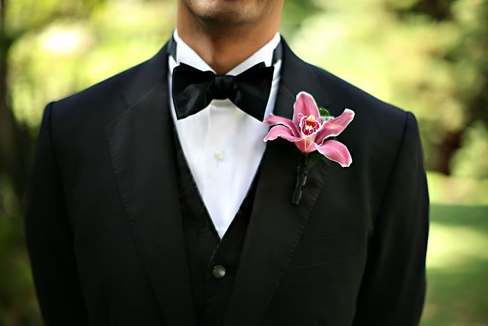 Simon's Boutonairre Pictures, Images and Photos