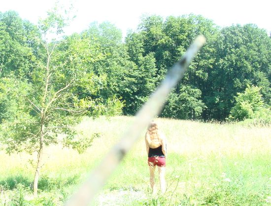 Bild