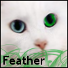 *{Feather}* Avatar