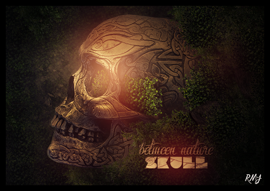 skullklein_zps4e9f5534.png