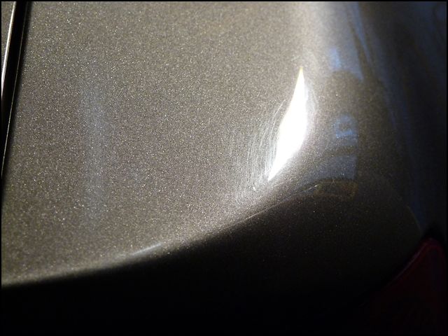 P1120209.jpg