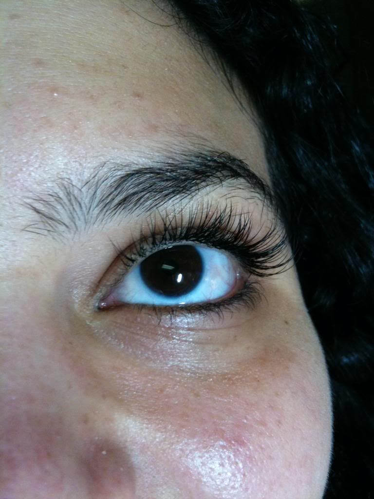 Diva Lashes (c) schlepgal mink lashes cruelty free