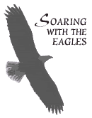 soaringeagle2.gif soaring w e eagles image by galileanz