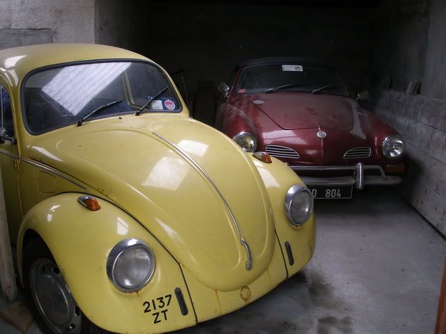 P4211065.jpg