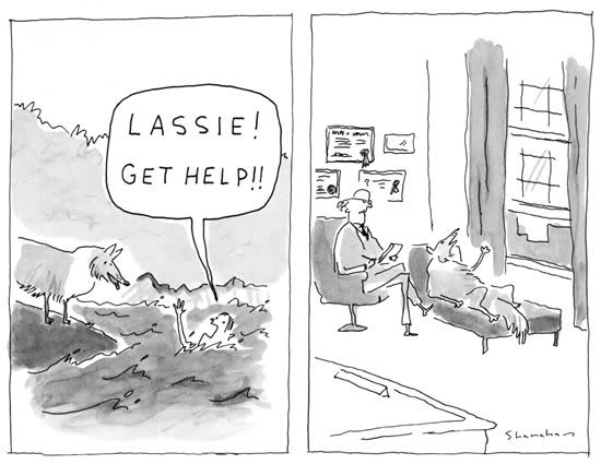 lassie.jpg