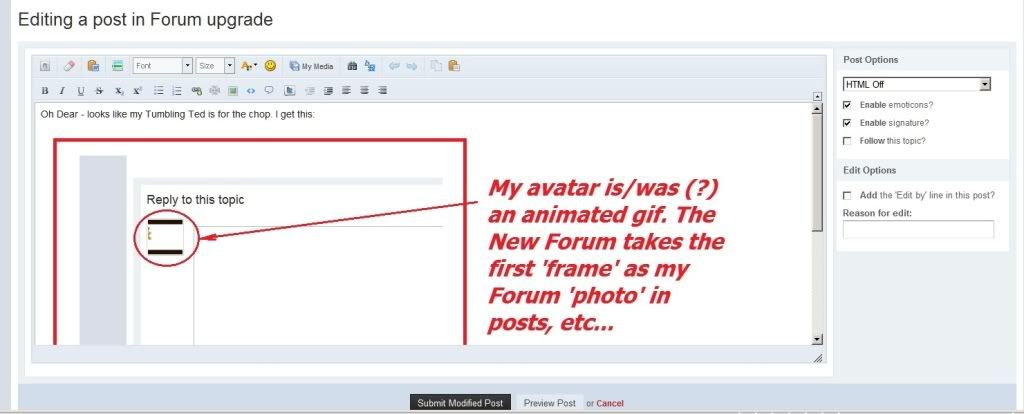 New_Forum_No_HTML_In_Edit_Post.jpg