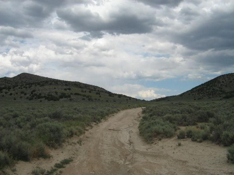IMG_0146.jpg