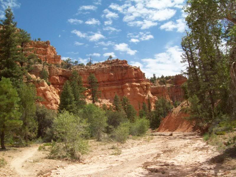 100_3075.jpg