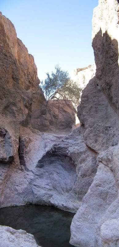 BearFalls.jpg