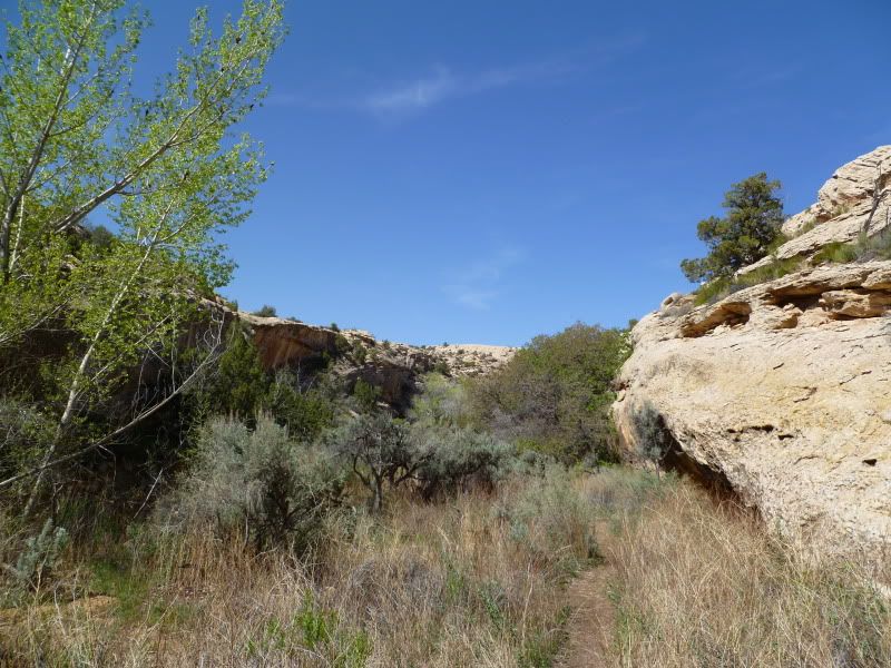 P1000691.jpg
