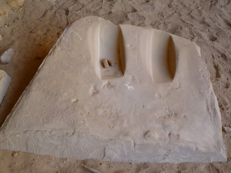 P1000729.jpg