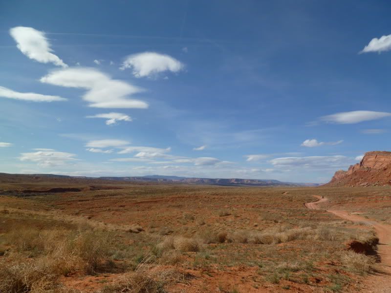 P1000830.jpg