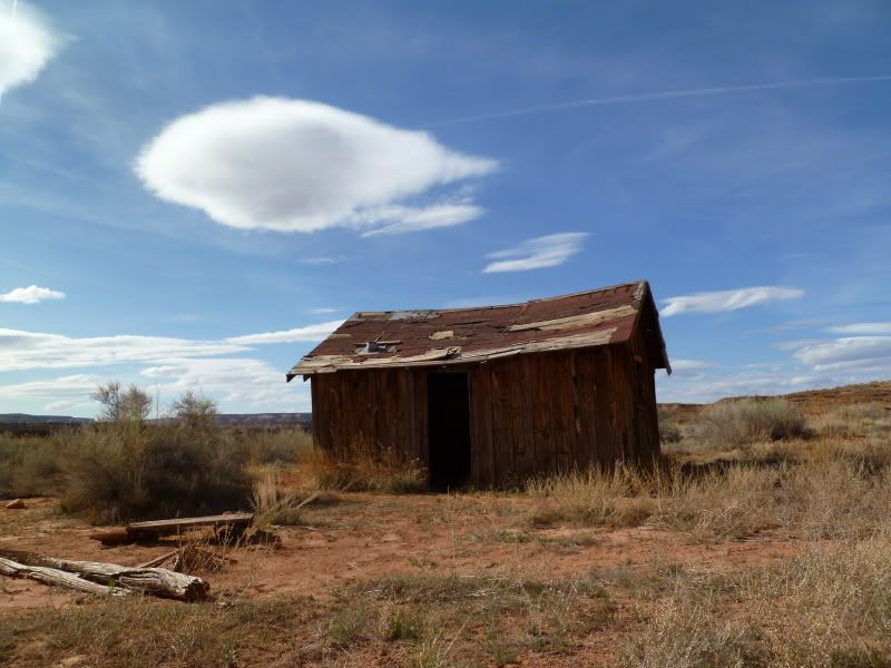 P1000836.jpg