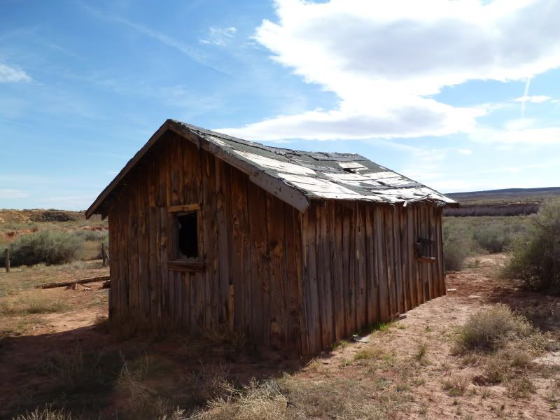 P1000842.jpg