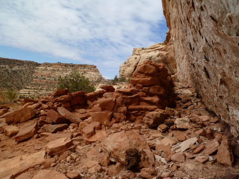 P1000861.jpg