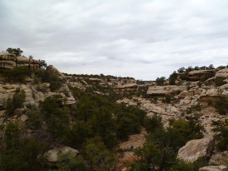 P1000925.jpg