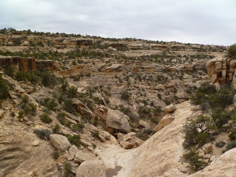 P1000978.jpg