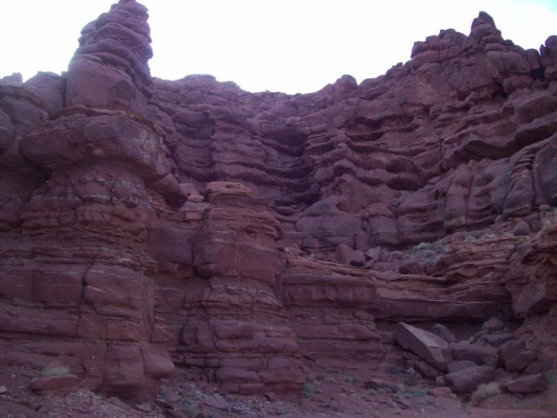 100_2174.jpg
