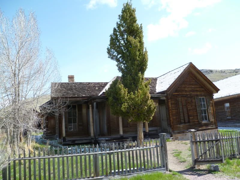P1010134.jpg