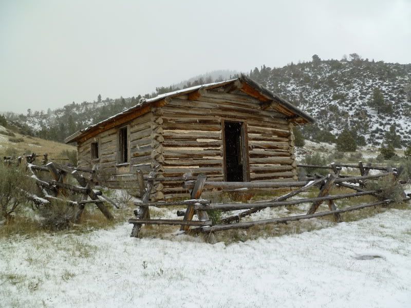 P1010215.jpg