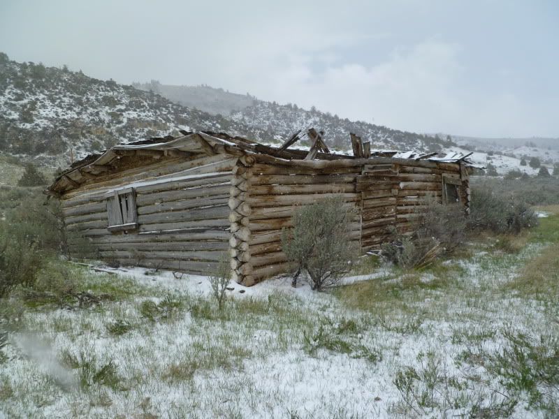 P1010237.jpg