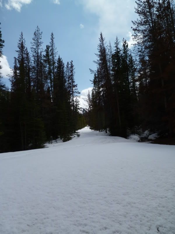 P1010309.jpg