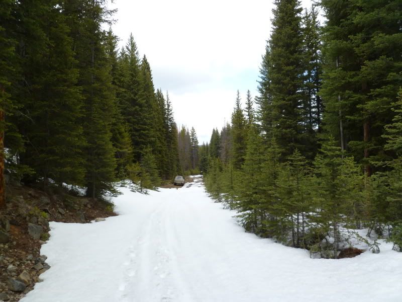 P1010314.jpg