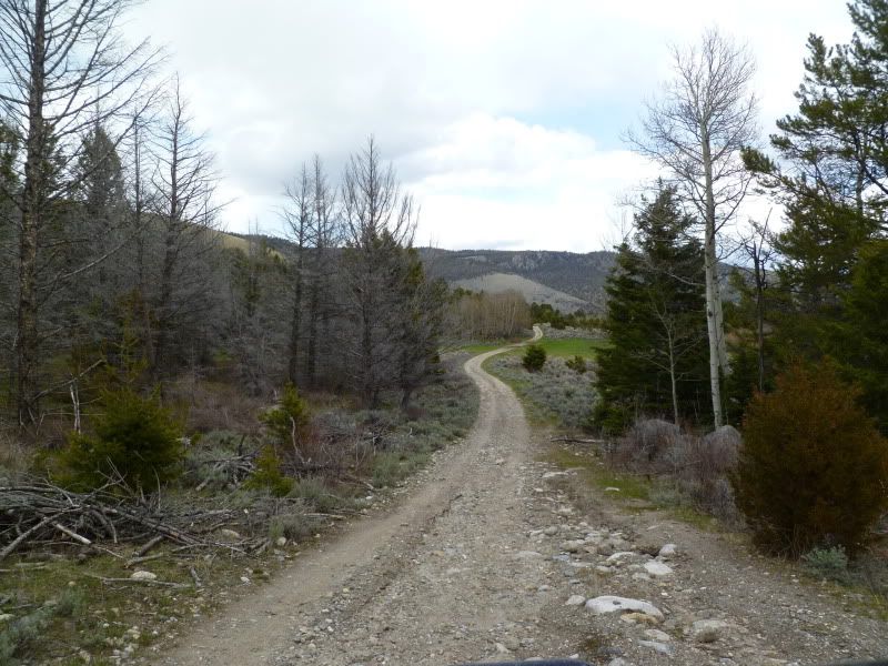 P1010318.jpg
