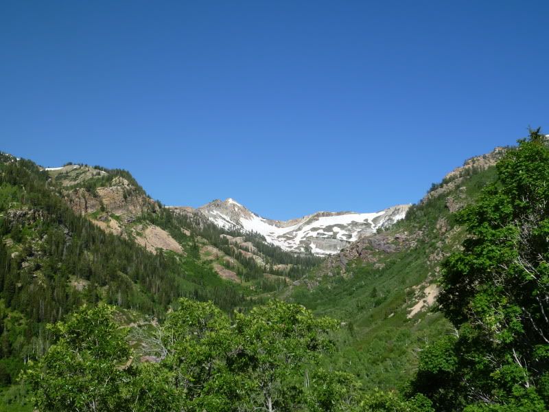 P1010717.jpg