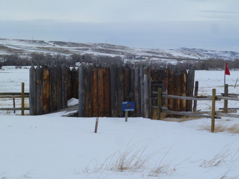 P1080317_zps15305ae2.jpg