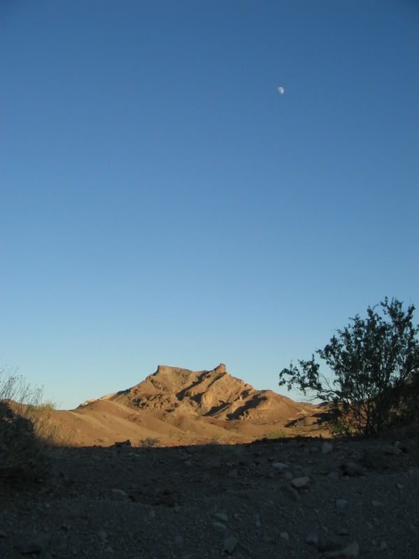 IMG_1657.jpg