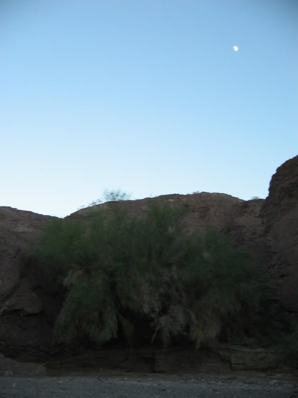 IMG_1674.jpg