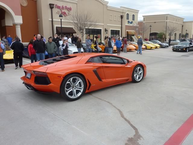 9Lambo.jpg