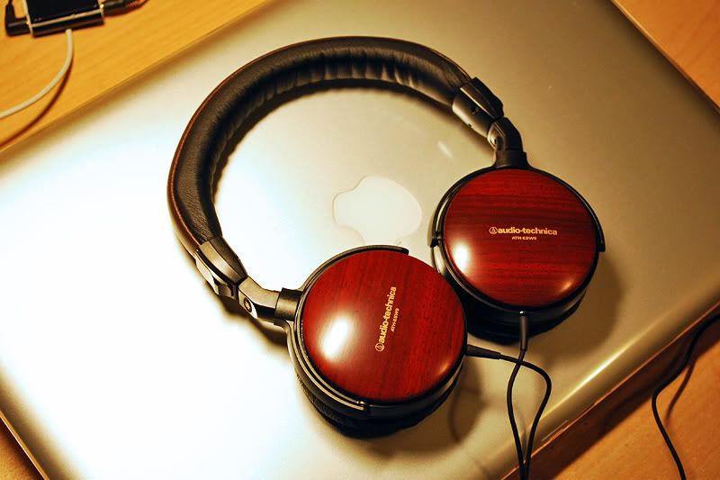 AudioTechnicaATH-ESW9.jpg