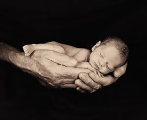 2005 Desk Calendar Anne Geddes Pure