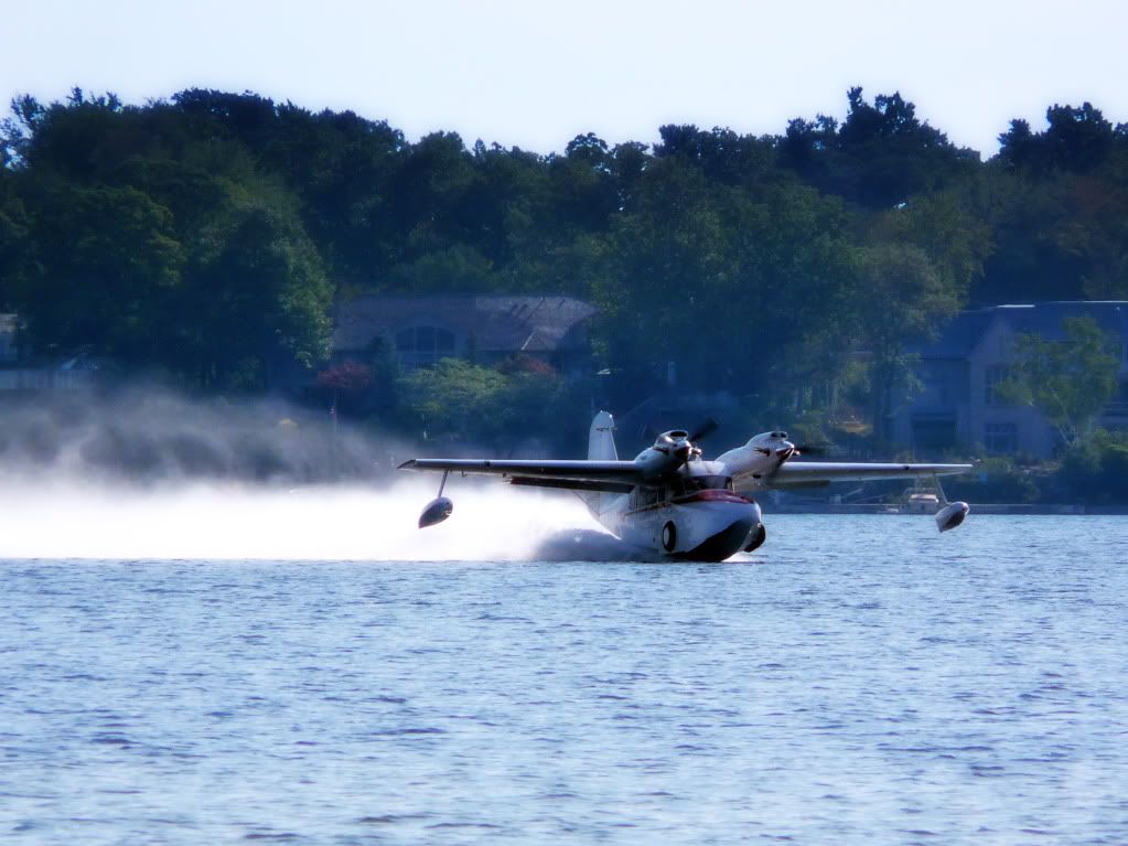 GooseTakeoff3.jpg