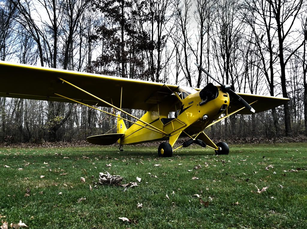 cub.jpg