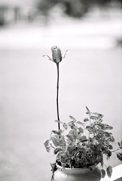 121525-R1-26-27small.jpg