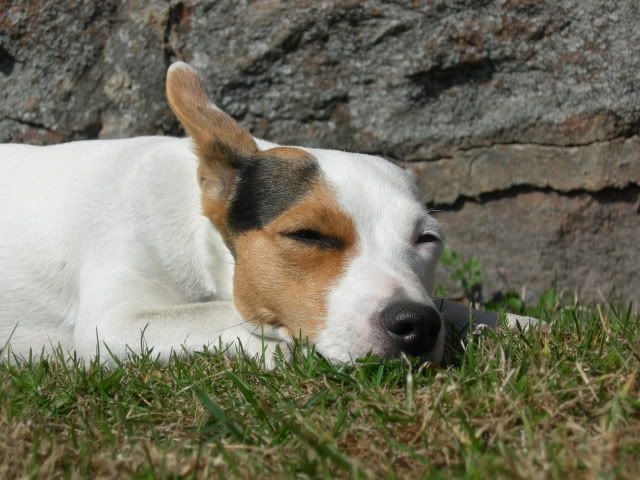 1maj2009128.jpg