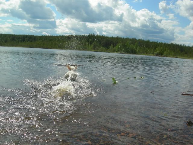 24juni2009102.jpg