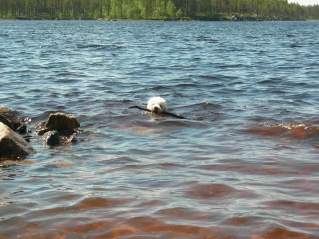 31maj2009005.jpg